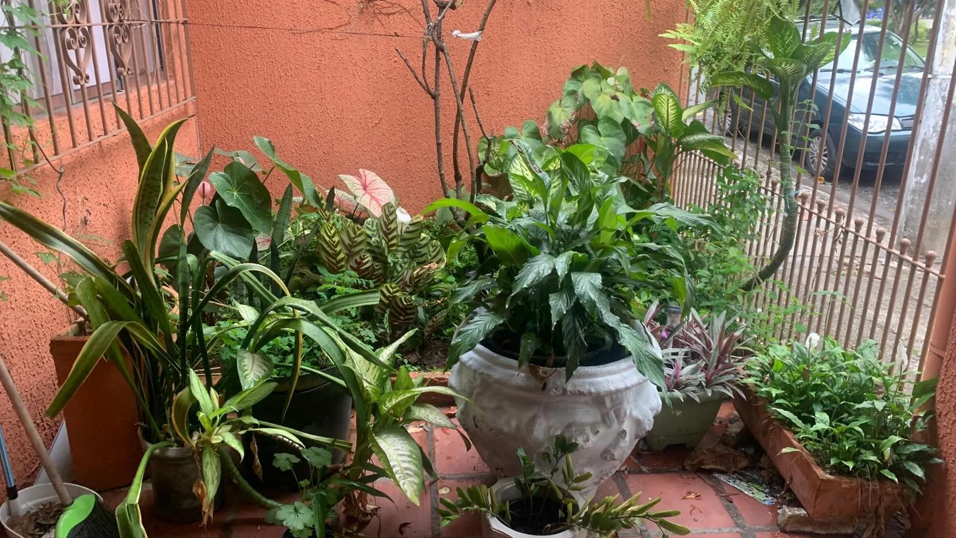 Edicula Tranquila E Bem Localizada No Butanta Villa Sao Paulo Holiday home